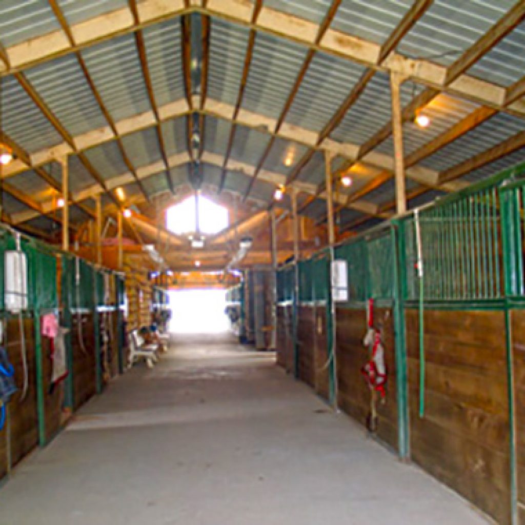 Stables where Equine Fly Control is needed