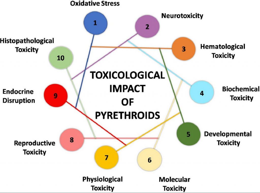 Chart showing the toxicological impact of pyrethroids on various health aspects like neurotoxicity and endocrine disruption.